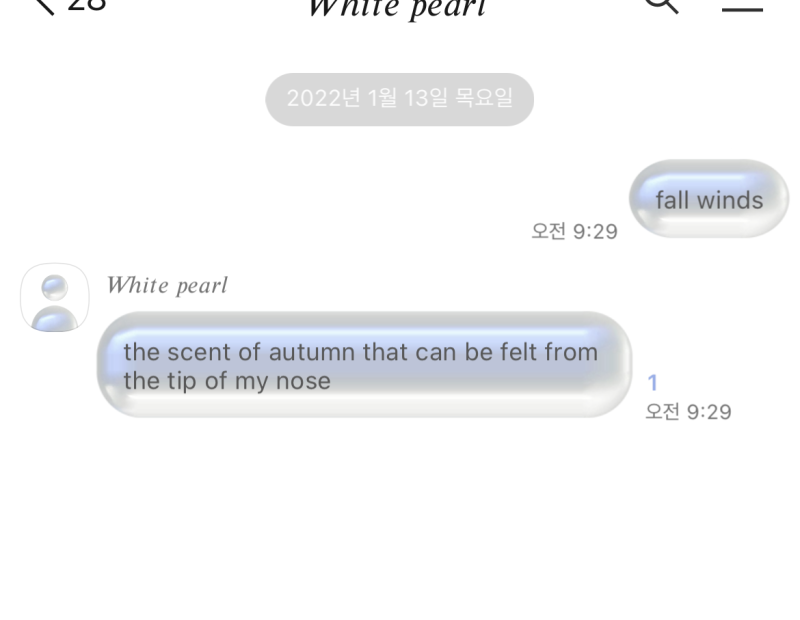 아이폰 / 안드로이드 카카오톡 테마] White Pearl.Ktheme : 네이버 블로그