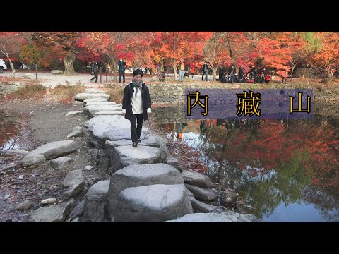 내장산 단풍2022(4k) 내장산 단풍2022(4k)