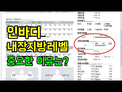 인바디 내장지방레벨 중요한 이유는? 피하지방과 비교해서 다이어트 계획 세우기 인바디 내장지방레벨 중요한 이유는? 피하지방과 비교해서 다이어트 계획 세우기