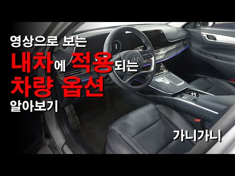 ★내차에 적용되는 차량 옵션을 알아보자!★ - 가니가니 ★내차에 적용되는 차량 옵션을 알아보자!★ - 가니가니