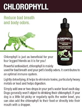 Pet Water Additive For Dogs & Cats – Fight Bad Breath & Body Odors –  Natural Oral Care – Liquid Chlorophyll 100Ml – Gmo Free – Gluten Free –  Alcohol Free –