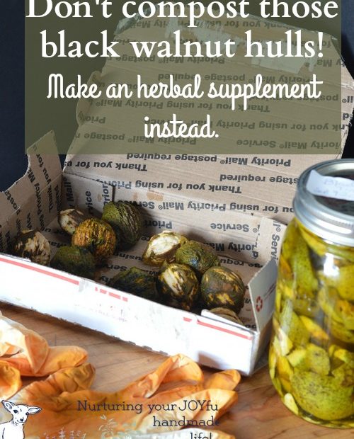 Make A Black Walnut Tincture For Local Iodine And Preserve Your Health
