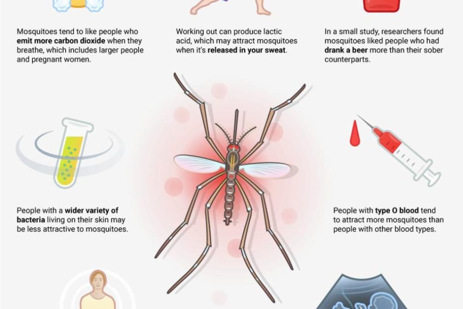 7 Things That Make Mosquitoes Bite You More