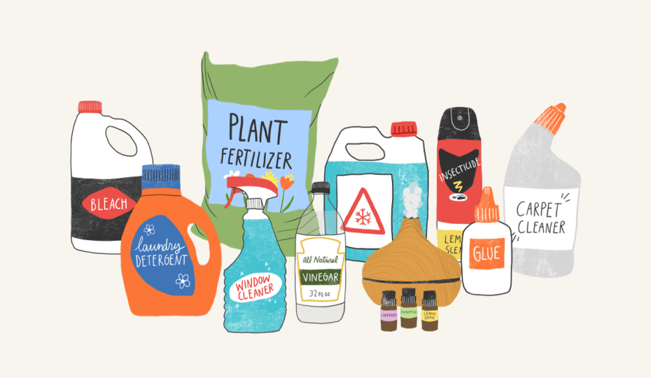 Household Products That Are Poisonous For Pets | Zoetis Petcare