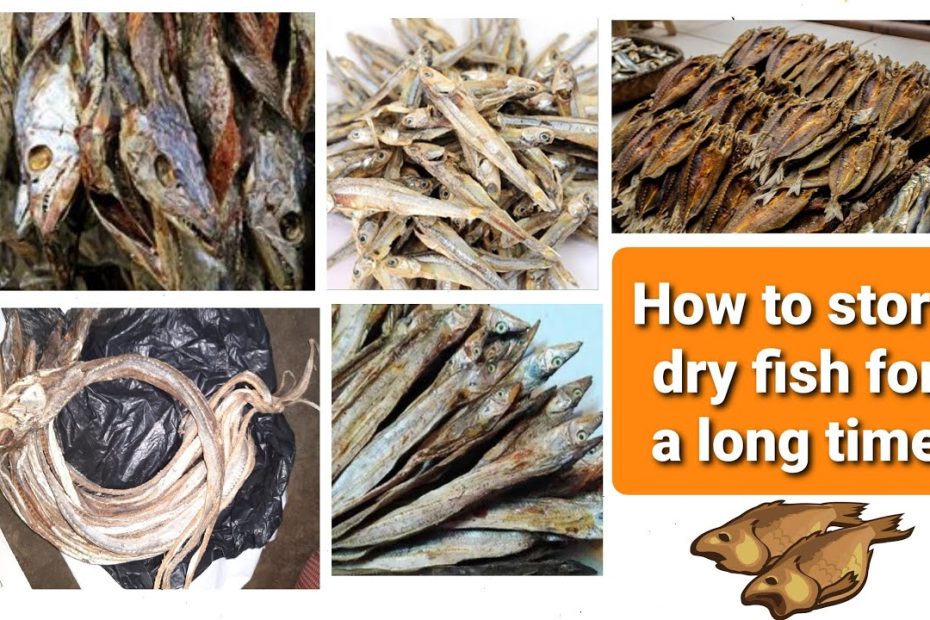 How To Store Dry Fish For A Long Time | Episode 98. - Youtube